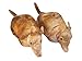 Happy Feet - Armadillo - Animal Slippers