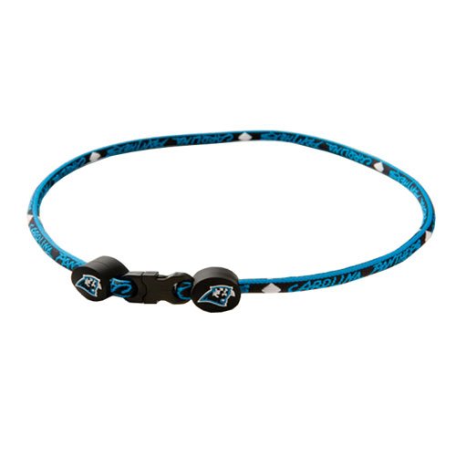 Eagles Wings Carolina Panthers Titanium Necklace