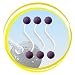 Ladder Golf Brand - Purple Bolas - Set of 3