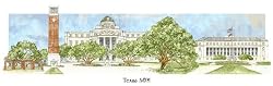 Texas A&M University - Collegiate Colors - 5" x 13" Framed Prints