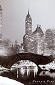 Central Park Art Poster Print, 11x17