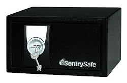 SentrySafe X031 Security Safe, 0.3 Cubic Feet, Black
