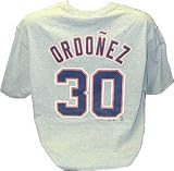 Detroit Tigers MLB Magglio Ordonez Adult T-Shirt - Gray