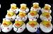 One Dozen (12) Nurse Rubber Duckys