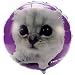 Party Supplies - THE CAT Mylar Balloon