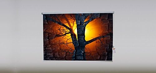 Sun Tree Theme, Blackout Fabric Window Roller Shade With Beaded Chain in Right (6' Width)