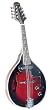 Savannah SA-115-E Madison Mandolin
