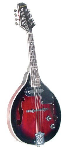 Savannah SA-115-E Madison Mandolin On Sale