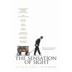 The Sensation of Sight