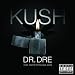 Kush (feat. Snoop Dogg &amp; Akon) [Explicit]