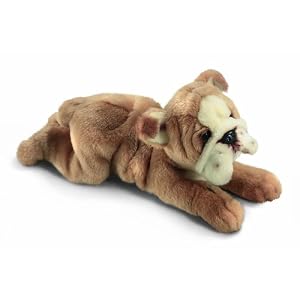 Yomiko Bulldog by Russ