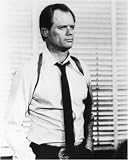 Fred Dryer - Movie Poster Print -- Custom Framing Available by FramingMOVIES.com