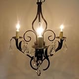 �V�����f���A(BB�j