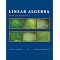 introductory linear algebra