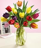 MultiColored Valentines