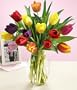 Multi-Colored Valentine's Tulips