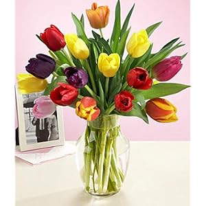 Tulips valentines day gifts