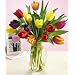 Assorted Tulips