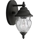 Progress Lighting P5610-31 One-Light Wall Lantern with Clear Seeded Handblown Glass Urn, Black