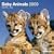 Baby Animals 2009. Brosch�renkalender (Grid Calendar)
