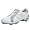 White/Delphin