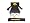 Iowa Hawkeyes