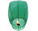 Eclipse Green Flying Sky (Floating) Lantern/Kongming Light - Just Artifacts Brand