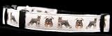 Miniature Schnauzer Medium Designer Ribbon Dog Collar