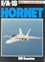F-18 Hornet (Modern combat aircraft)
