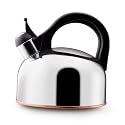 Paula Deen 2 Quart Stainless Steel Teakettle with Copper Bottom