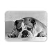 Bruce the Old English Bulldog not feeling.. - Mouse Mat Art247 Highest Quality Natural Rubber Mouse Mats - Mouse Mat