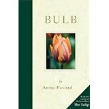 bulb