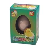 Outdoor Living : Hatching Chicken Egg