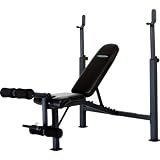 41nClk2xcLL. SL160  Competitor CB 729 Olympic Weight Bench Reviews