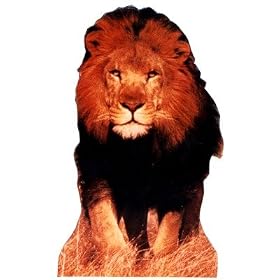 Lion Talking Animal Stand-Up