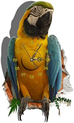 GoFurther SZ067 DIY STICKER 3D Art Wall Clock Decals Parrot Wall Hole Sticker Office Home Wall Decor Gift 25"x15"