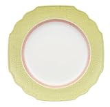 Villeroy & Boch Cascara 10 1/2 dinner plate: crakle border set of 6