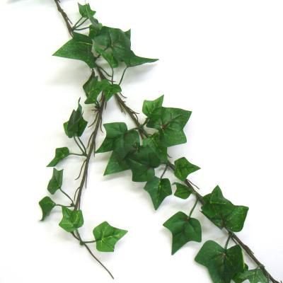 ミニアイビーコード 迷你常春藤代码,代购日本