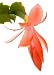 Pink Cactus Flower - 24