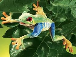 RED-EYED TREE FROG PUPPET