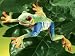 RED-EYED TREE FROG PUPPET