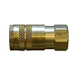 Interstate Pneumatics CH460B 1/4 x 3/8 Inch FPT Industrial Brass Coupler