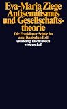 Antisemitismus und Gesellschaftstheorie: Die Frankfurter Schule im amerikanischen Exil (suhrkamp taschenbuch wissenschaft) - Eva-Maria Ziege