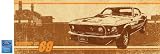 Summer of 69 Wall Mural