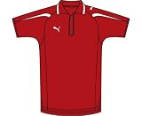 PUMA Herren Teamsport Poloshirt PowerCat 5.10