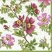 Rosa Canina Beverage Napkin