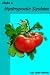 Make a Hydroponic System