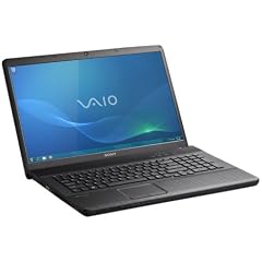 Sony Vaio EJ2E1E/B 44 cm (17,3 Zoll) Notebook (Intel Pentium B950, 2,1GHz, 4GB RAM, 500GB HDD, Intel HD, DVD, Win 7 HP) schwarz