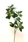 Mangrove Leaf Spray w/6 Leaf Clusters