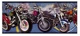 Motorcycle Navy Wallpaper Border in 4Walls